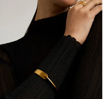 Crosby Hinged Bangle 676