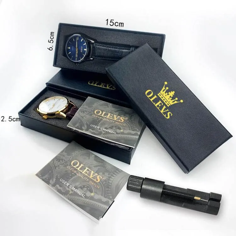 Olevs Newest Model Automatic Mechanical Luxury Wristwatch Men