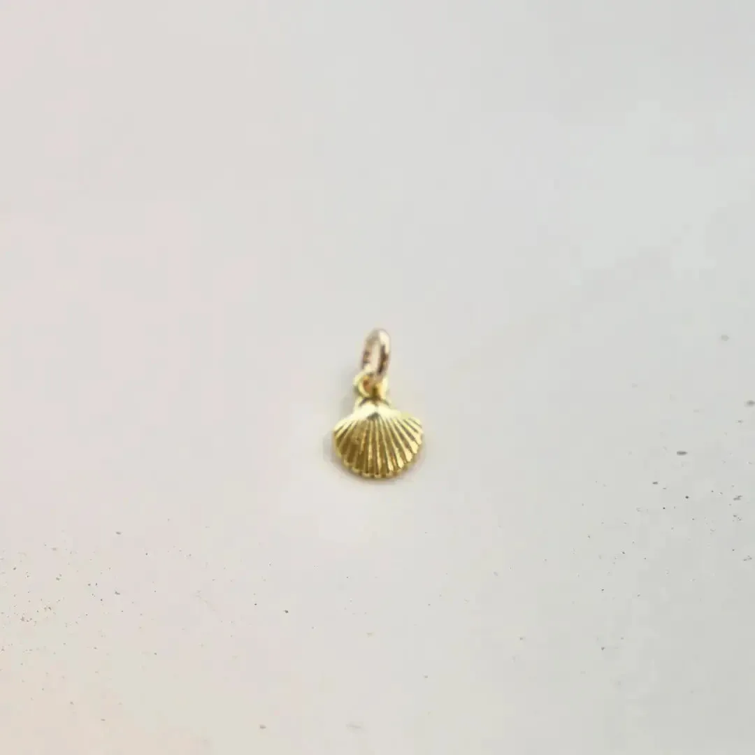 Shell Charm