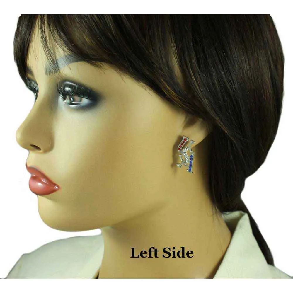 Silver Crystal USA Patriotic Brooch Pin and Earring Set - PRF304SBS