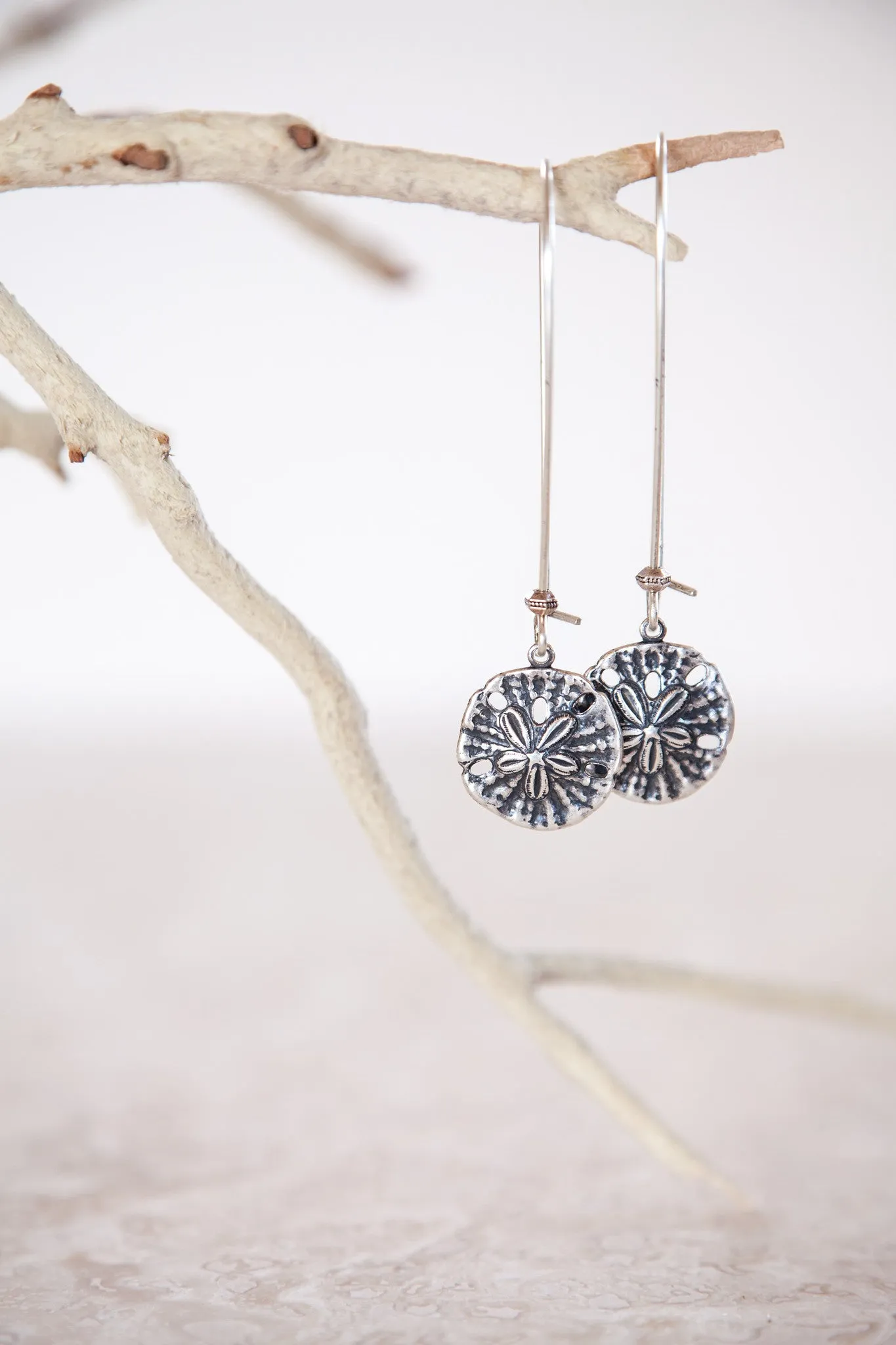 Silver Plated Sand Dollar Earrings