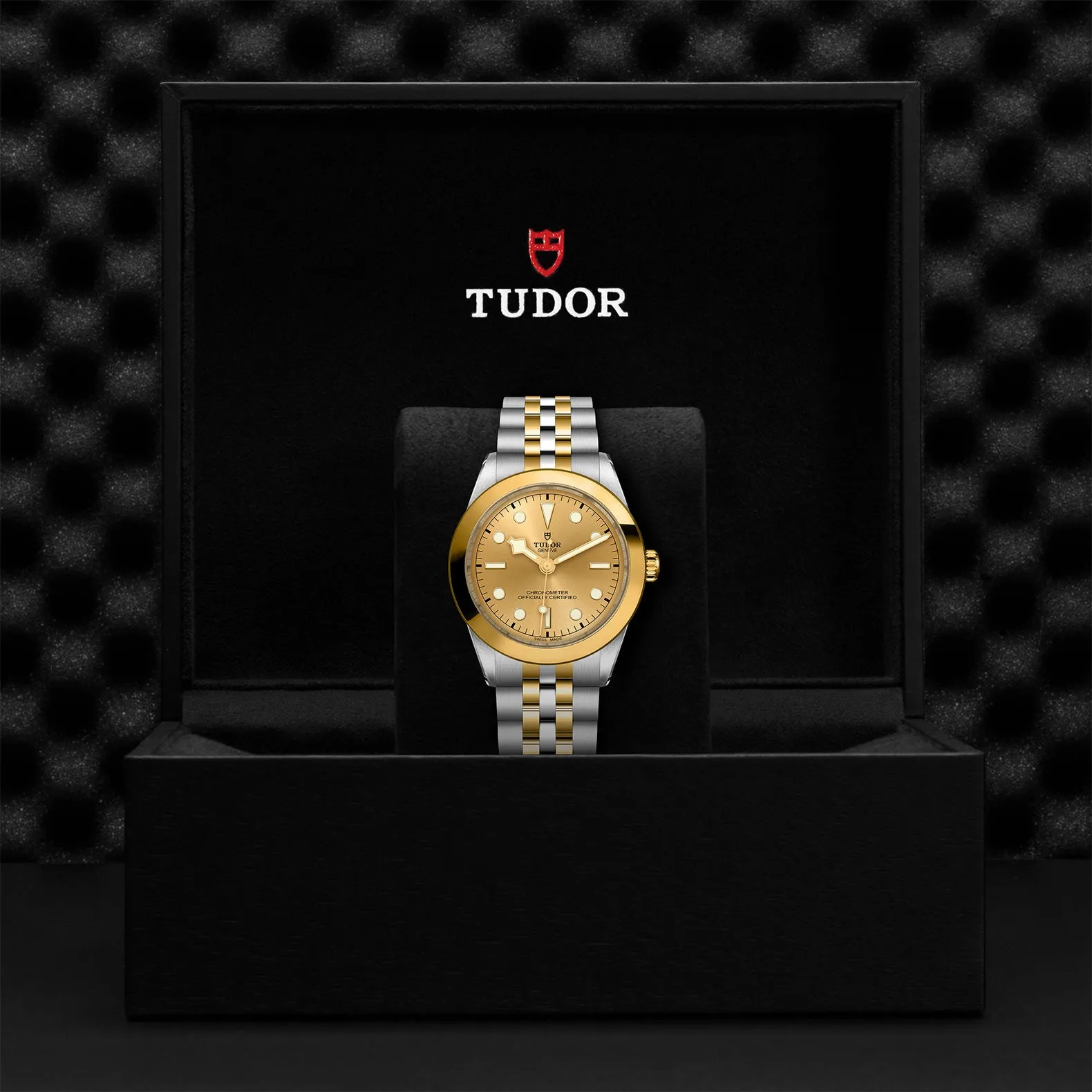 TUDOR Black Bay S&G 39mm Case, Champagne Dial, Steel & Yellow Gold Strap (M79663-0005)