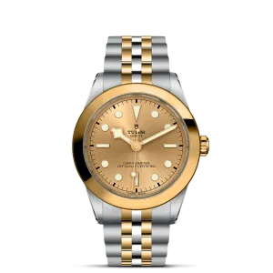 TUDOR Black Bay S&G 39mm Case, Champagne Dial, Steel & Yellow Gold Strap (M79663-0005)