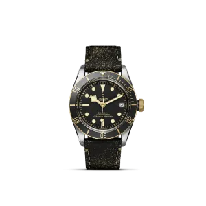 Tudor Black Bay S&G