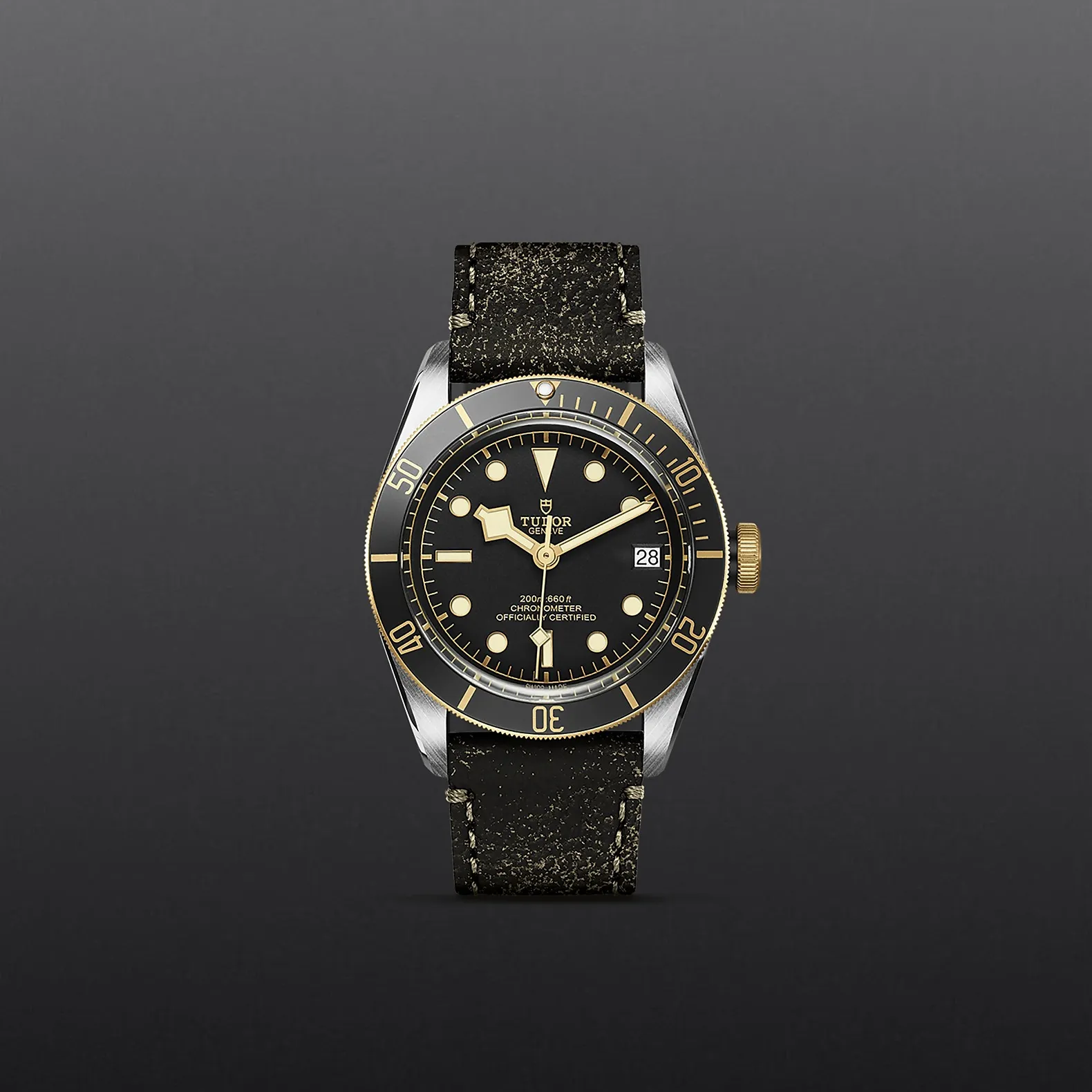 Tudor Black Bay S&G