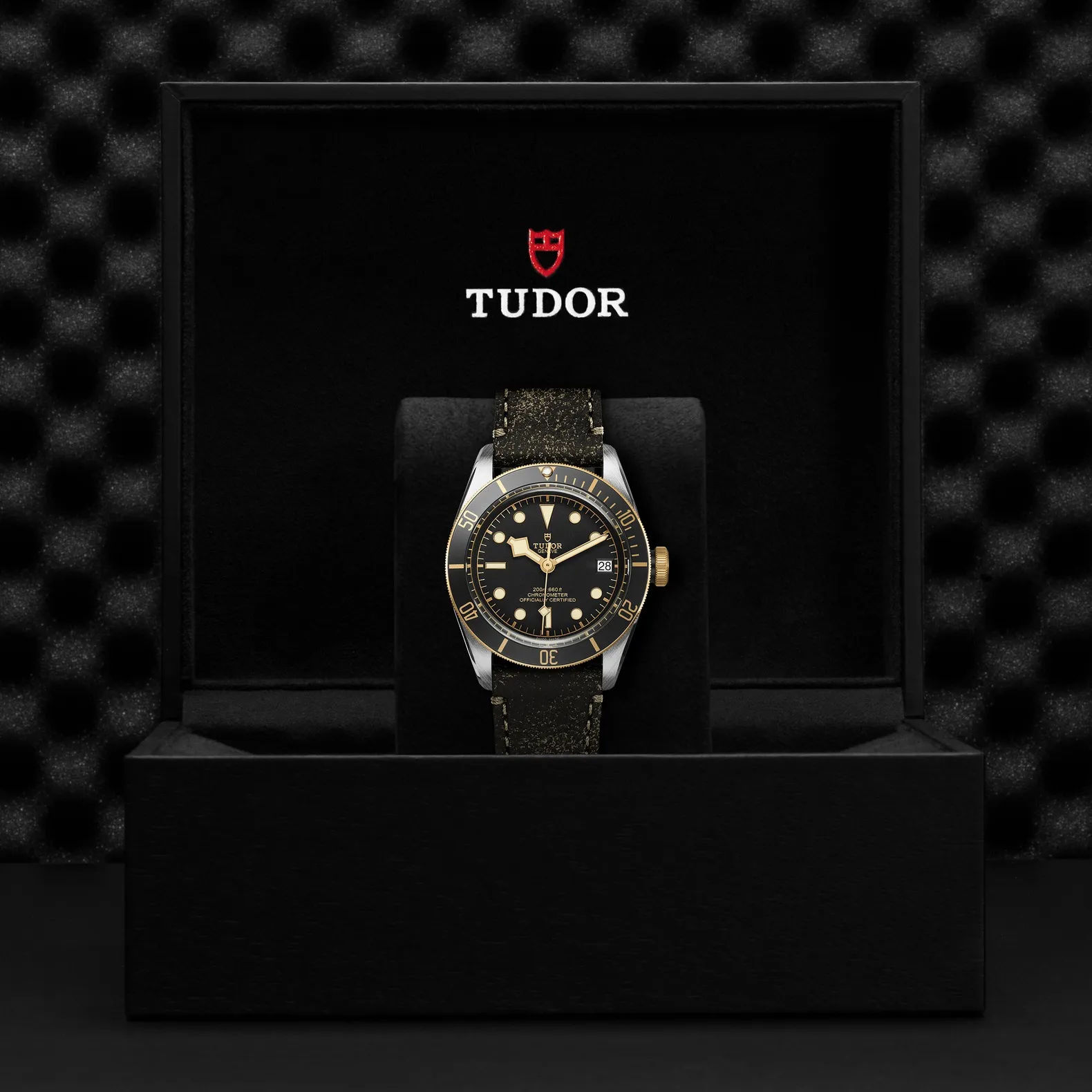 Tudor Black Bay S&G